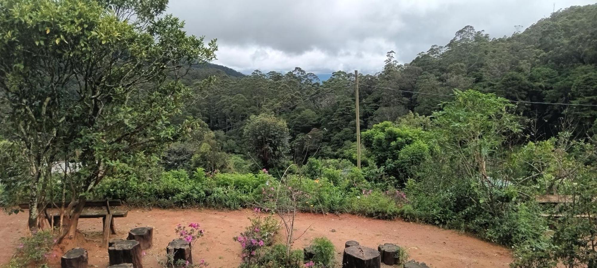 Forest Cyniciam Homestay Ohiya Habitación foto