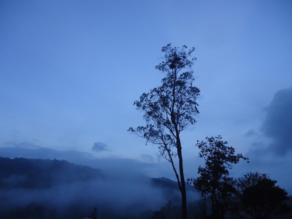 Forest Cyniciam Homestay Ohiya Exterior foto